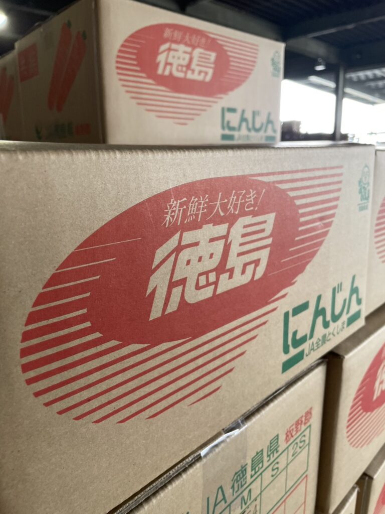 たくさんの春人参