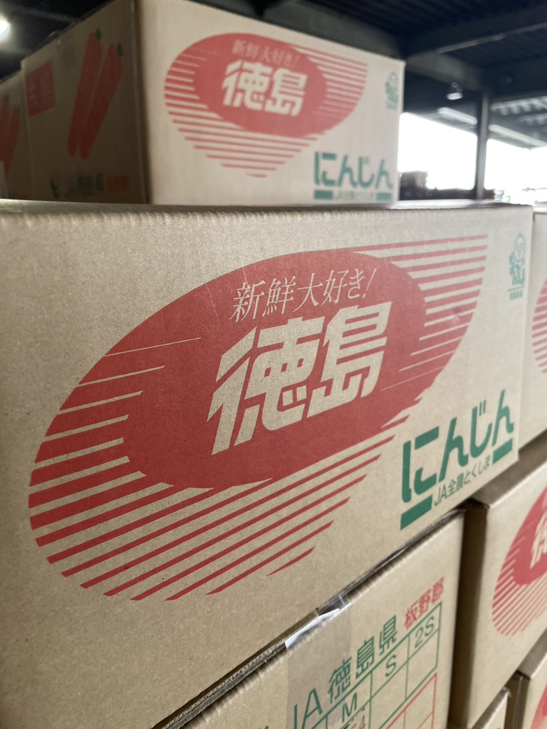 たくさんの春人参